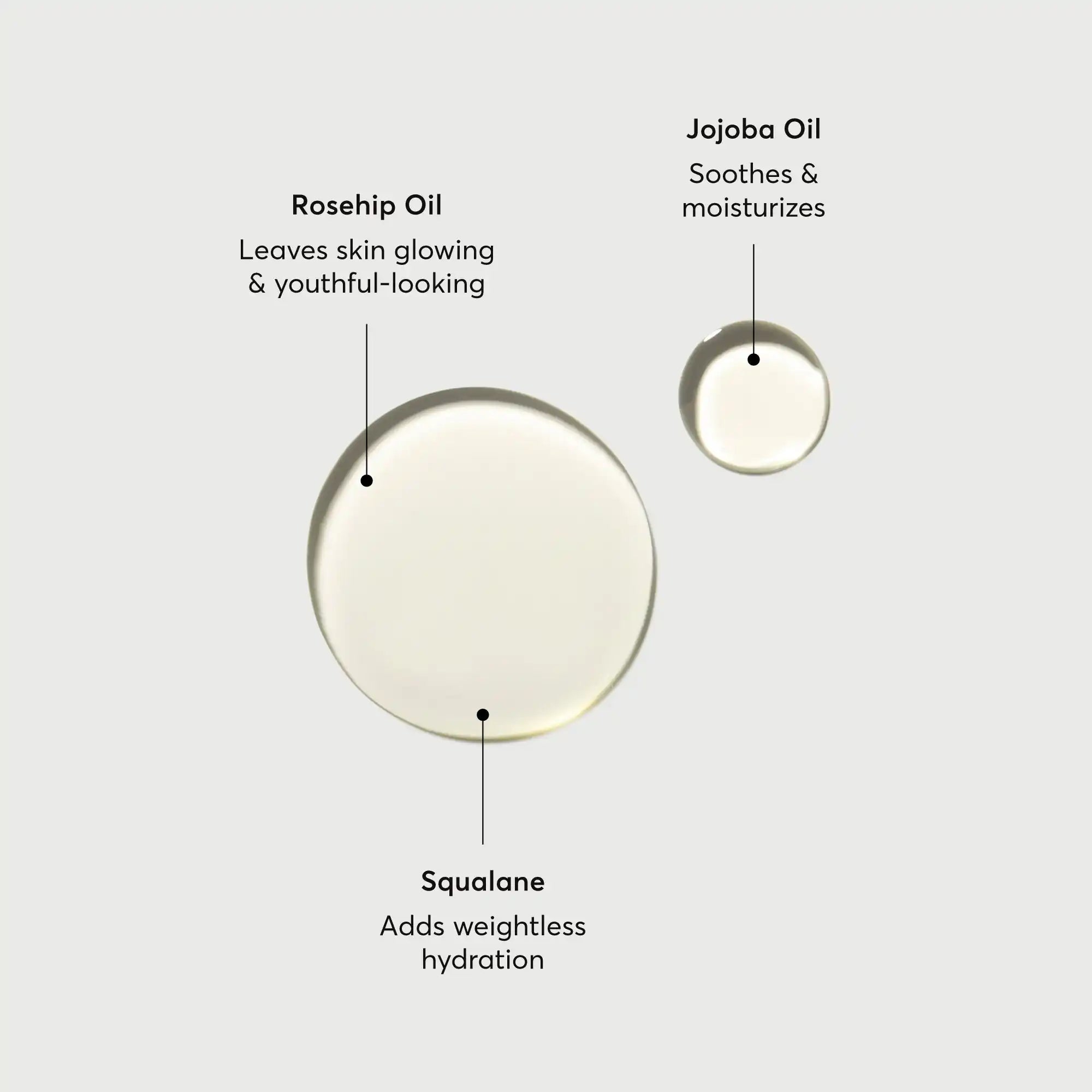 the-glow-getter-body-oil-u3 NATR-10115-Alt-Images-The-Glow-Getter-Body-Oil-01.webp