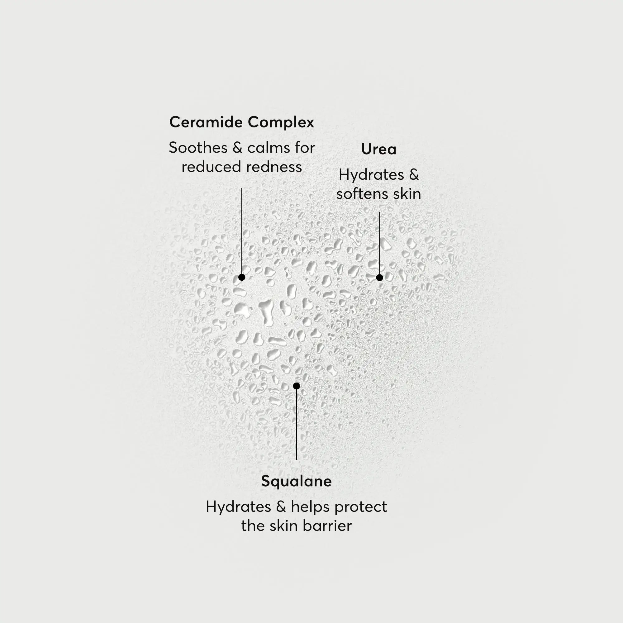barrier-bounce-bi-phase-mist-r0 NATR-10167-Alt-Images-Barrier-Bounce-Bi-Phase-Toner-Mist_01.webp
