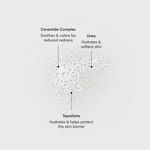 barrier-bounce-bi-phase-mist-r0 NATR-10167-Alt-Images-Barrier-Bounce-Bi-Phase-Toner-Mist_01.webp
