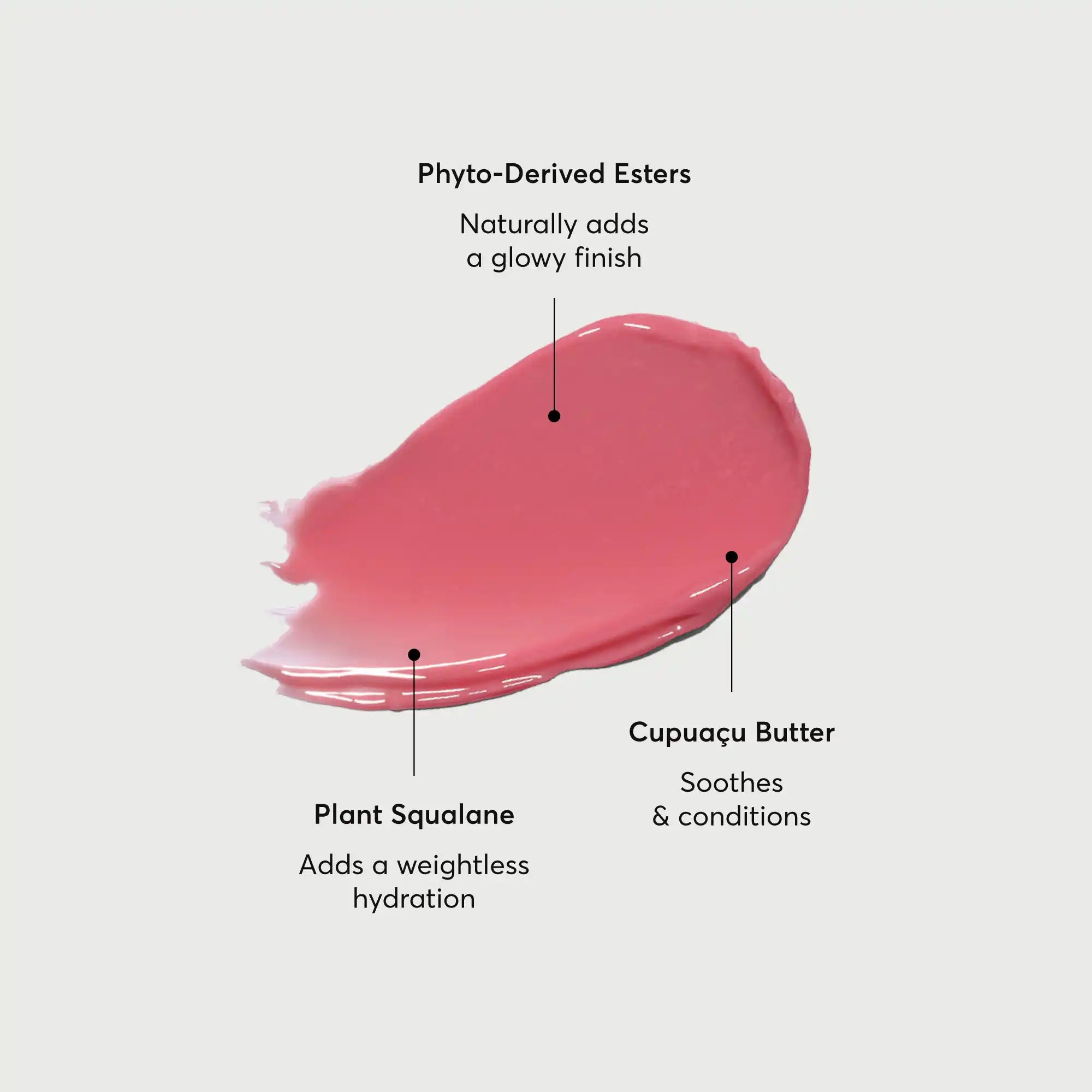 phyto-glow-lip-balm-petal-u2 NATR-60067-Alt-Images-Phyto-Glow-Lip-Balm-Petal-01.webp