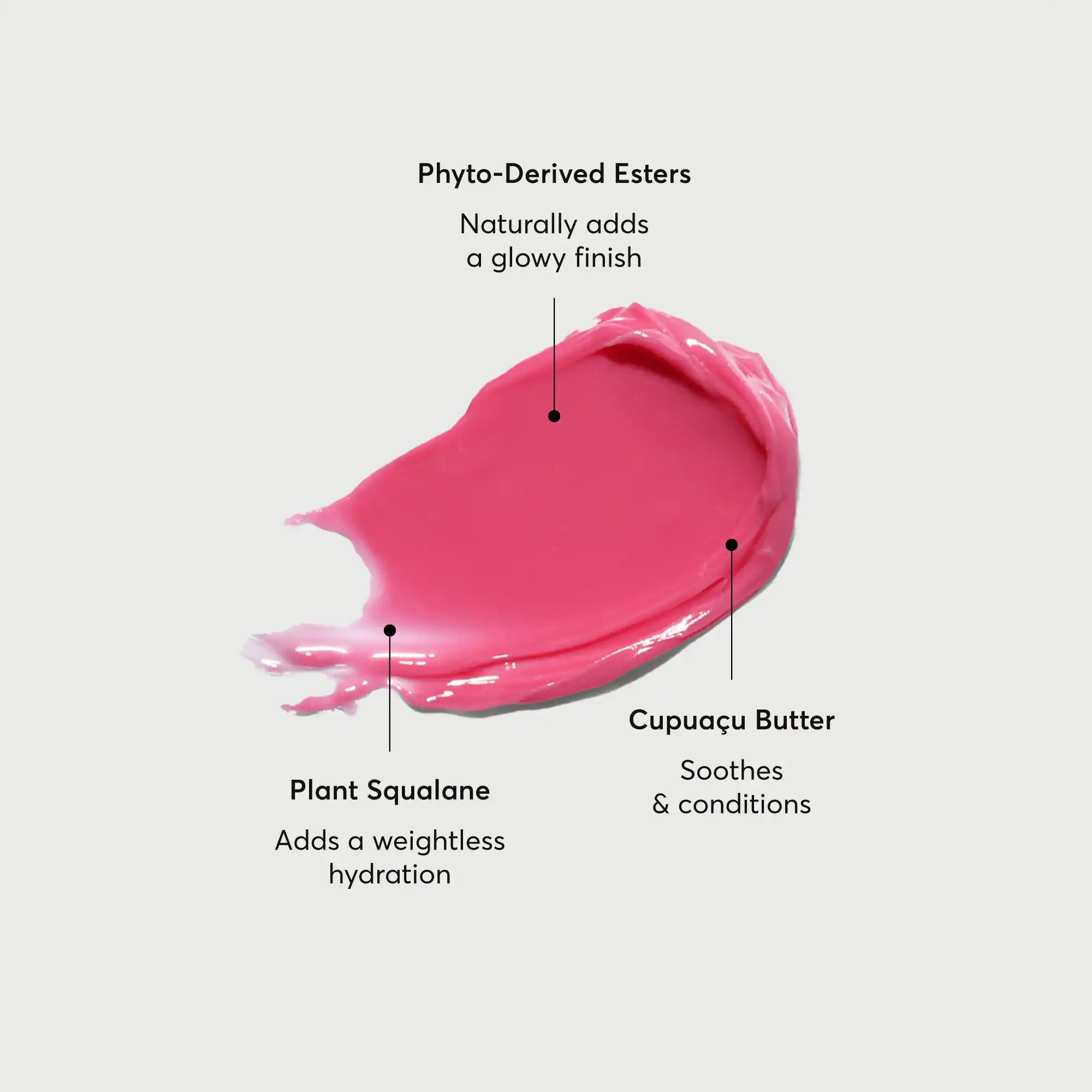 phyto-glow-lip-balm-camellia-e4 NATR-60075-Alt-Images-Phyto-Glow-Lip-Balm-Camellia-01.webp