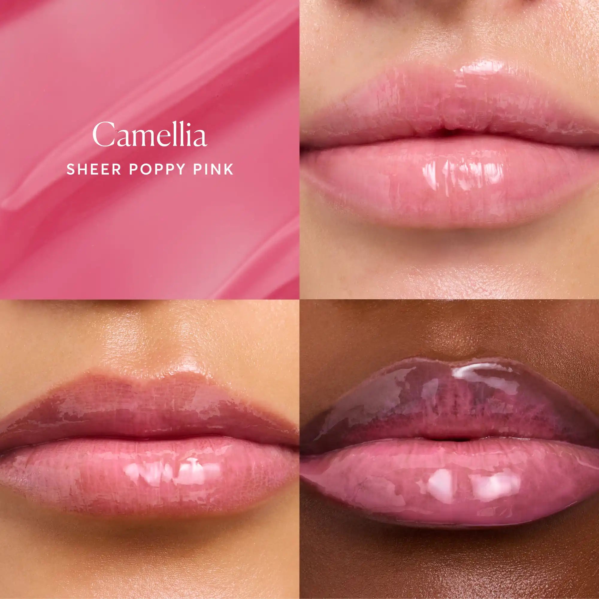 phyto-glow-lip-balm-camellia-e4 NATR-60075-Alt-Images-Phyto-Glow-Lip-Balm-Camellia-05.webp